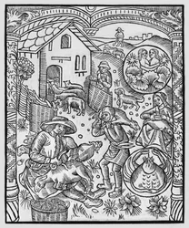 Juni, Schafschur, Zwillinge, Illustration aus dem 